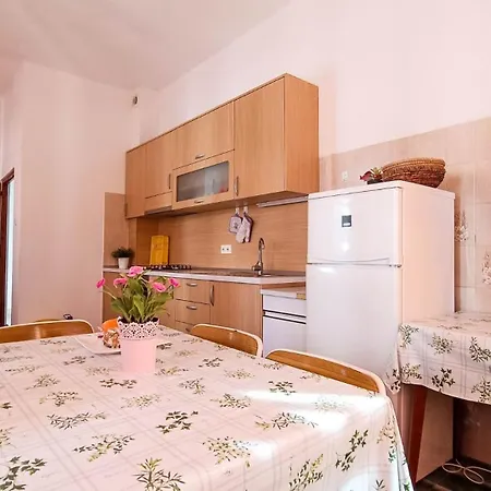 Ines - 15 Meters From The * Promajna