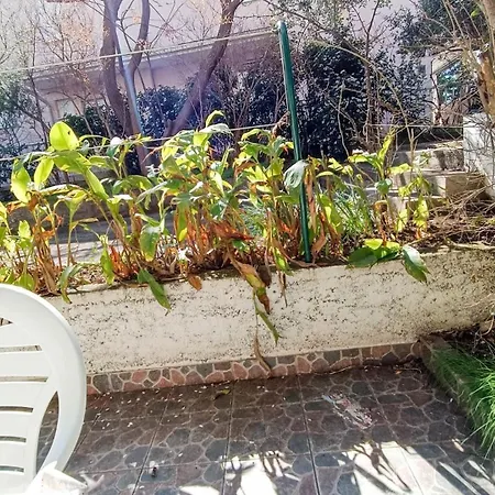 Apartamento Ines - 15 Meters From The Promajna